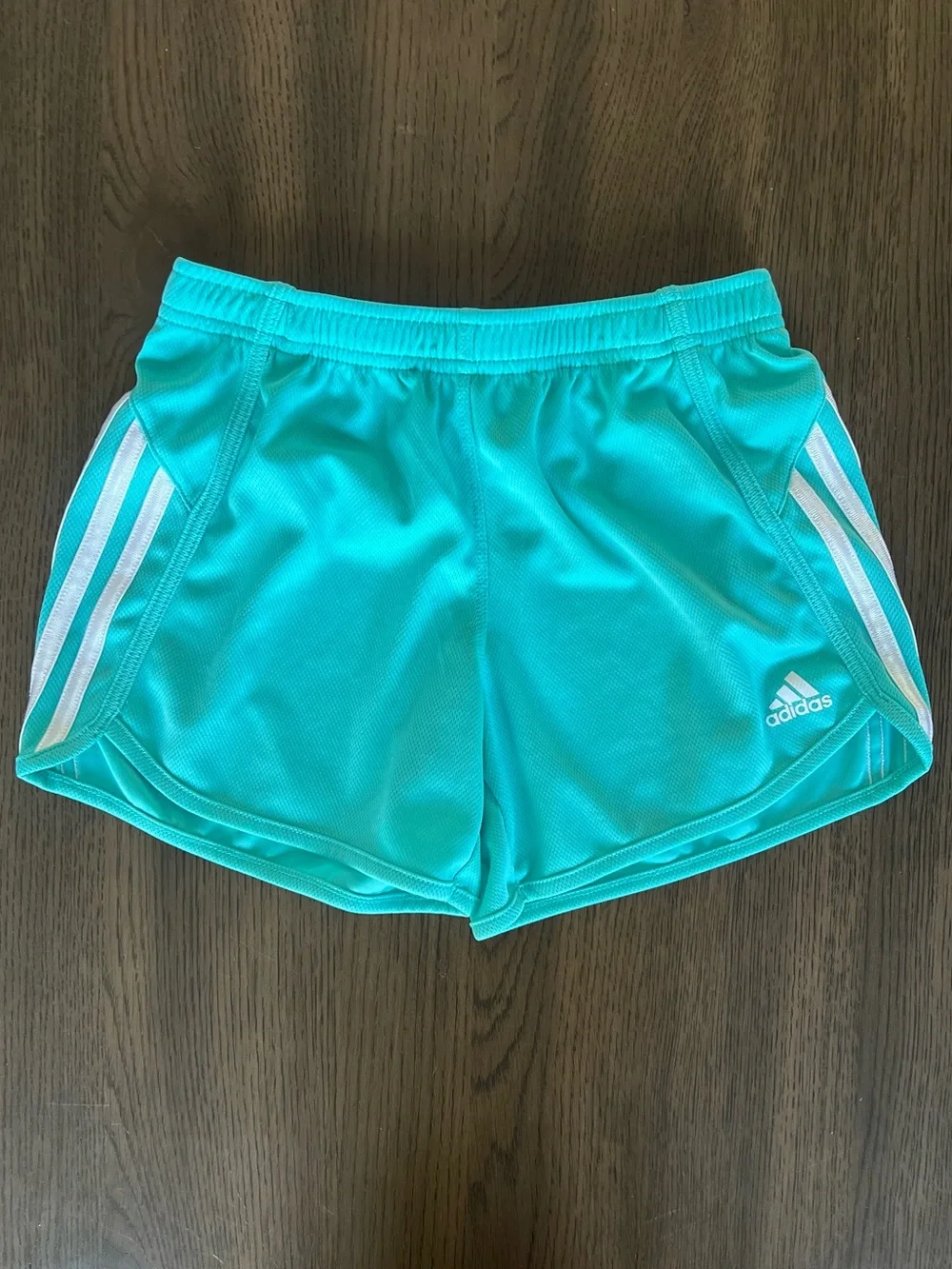 Girls Outfit: Aqua Adidas Shorts and Pink In Motion Top